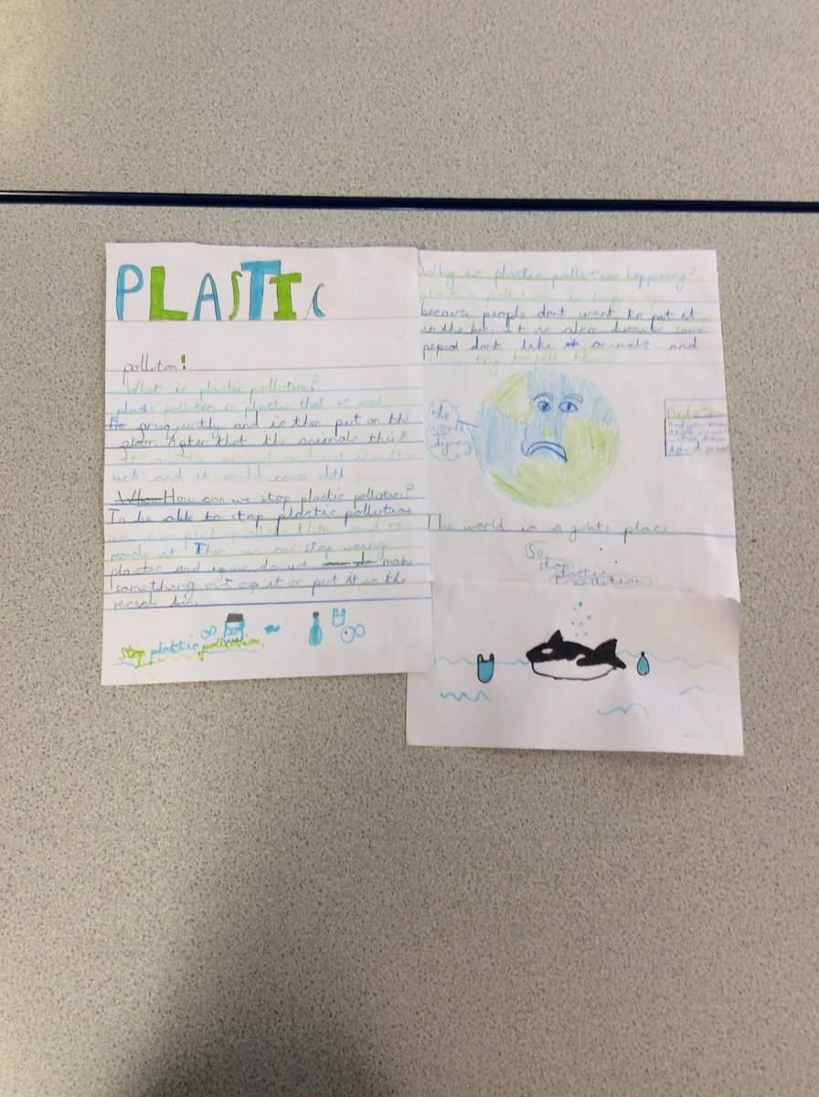 Newton Primary tweet media