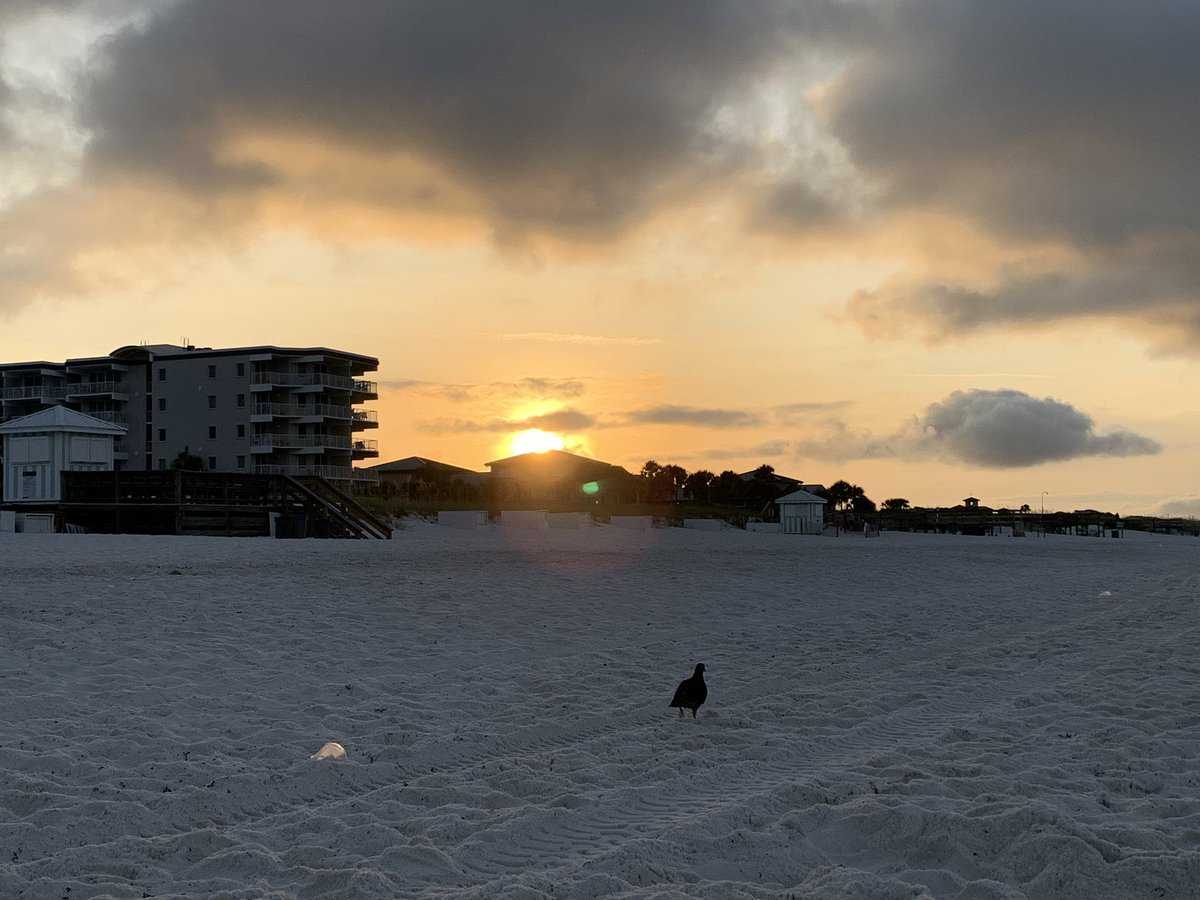 robertmuhammad's tweet image. I thank Allah, Master Fard Muhammad, the Christ, Elijah Muhammad &amp;amp; the Messiah, Louis Farrakhan ☀️🏖🇹🇷🦅🌍🧮🎼 #IslandResort #FtWaltonBeach #EarlyRiser