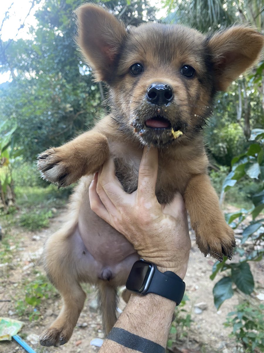 Niall Harbison tweet media