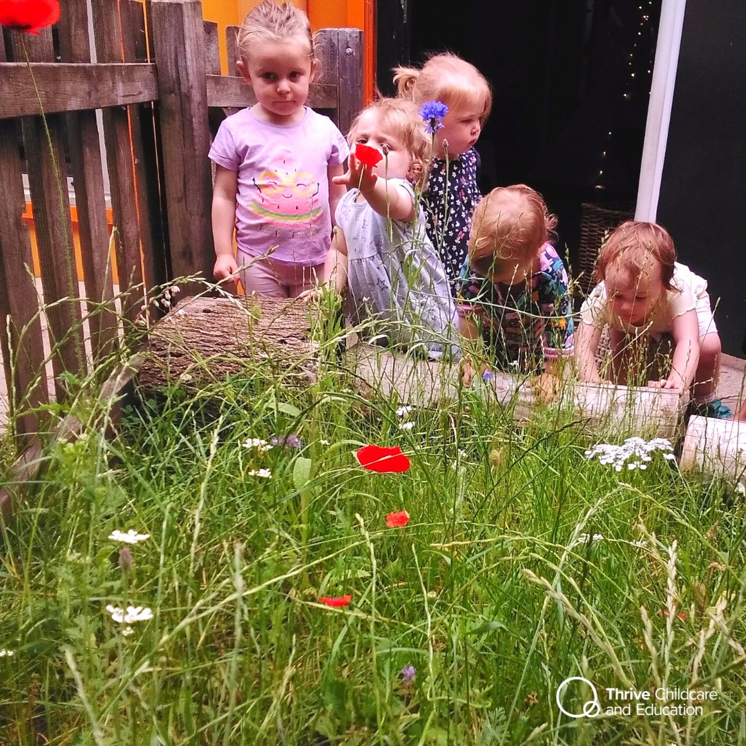 Toddler children at Holyrood Nursery Salford Royal observing the wild flower patch! The flowers are growing everyday. We enjoy seeing what we will find amongst the flowers. #savethebees #nature #learningoutdoors #thrivechildcare #holyroodnurseries #flowers #earlyyears #education