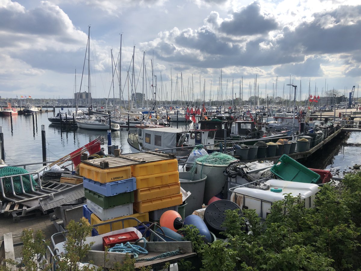 marcoscotti78's tweet image. Three-year postdoc on #EcosystemModelling, to simulate temporal and spatial dynamics in the western Baltic Sea. Main goal is designing a network of #MarineProtectedAreas that allows biodiversity conservation and supports the sustainable use of resources.
geomar.de/en/karriere/jo…