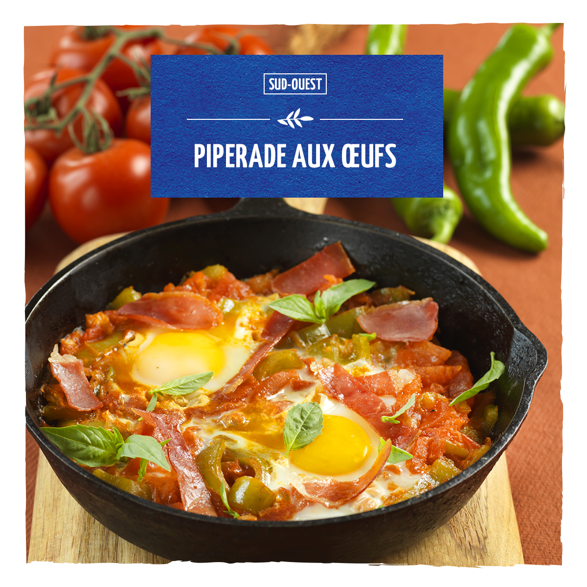 Biocoop66's tweet photo. [RECETTE]
Piperade aux œufs
➡️ Préparation : 20 minutes
➡️ Cuisson : 40 minutes
➡️ Pour 4 personnes
https://t.co/UQZwedKKQu
#recette #bio #biocoop https://t.co/F8ZiY52AsF