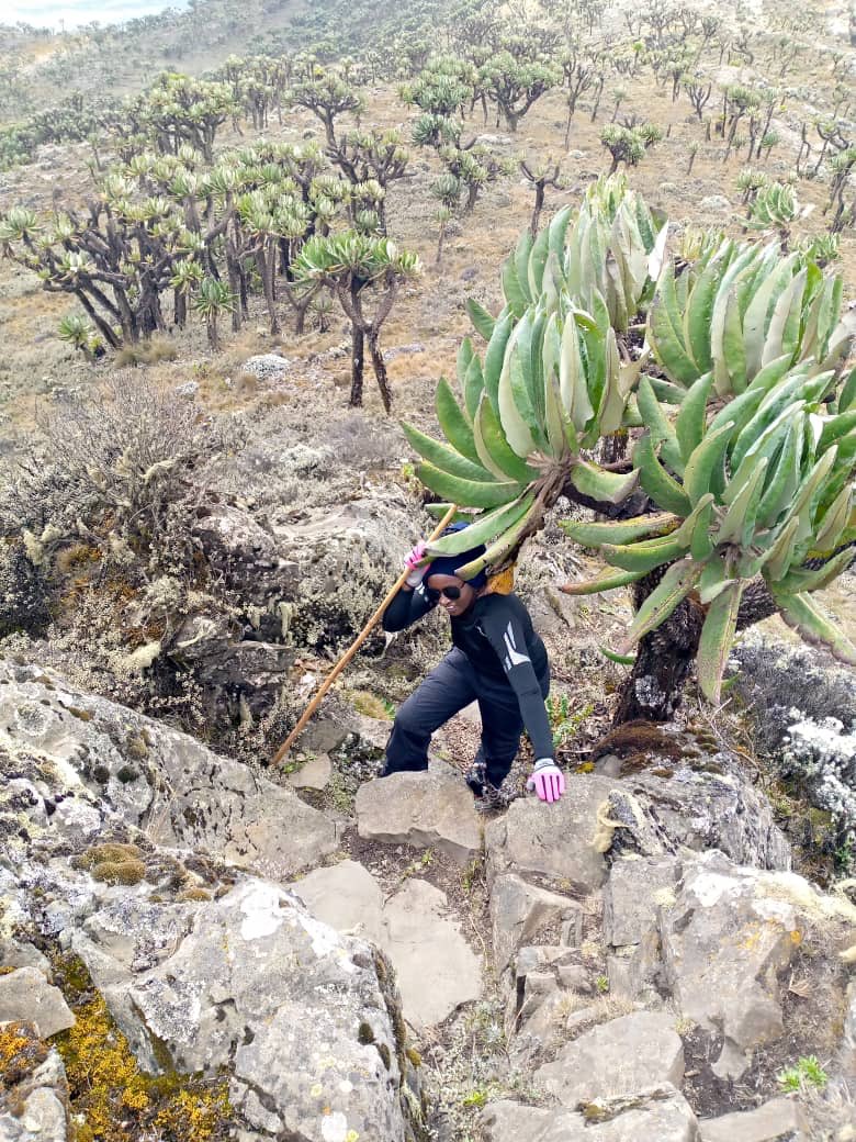 Hiking is therapy...@mtElgon....