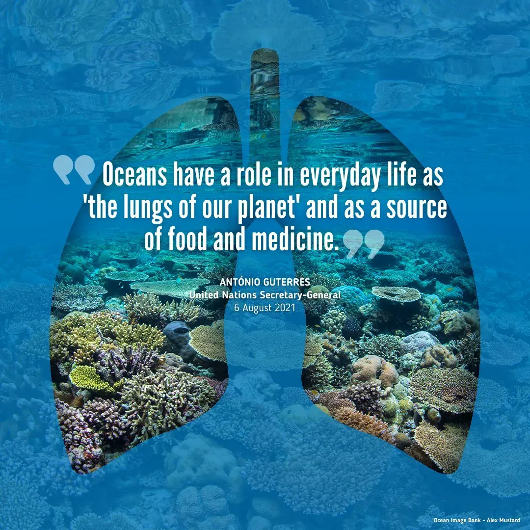 IPBES's tweet photo. Our ocean 🌊 produces at least 50% of the planet’s oxygen and it is home to most of Earth’s biodiversity.

But it faces biodiversity loss, climate change &amp; other threats.

2022 @UN Ocean Conference started today in Lisbon 🇵🇹 

#SaveOurOcean @UNEP https://t.co/ZDo30njm7Y https://t.co/p09UUOtB09