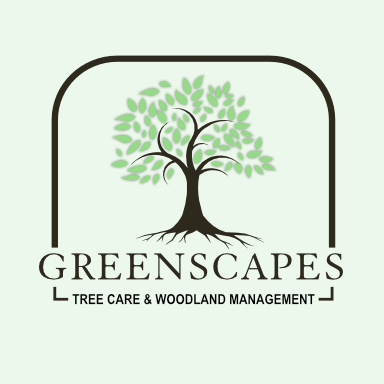 islefindit's tweet photo. We would like to extend a warm welcome to the following businesses who have joined Isle Find It or renewed their membership including Greenscapes Tree Care, Albany Garden Machinery, Bright Brown Accountants and Wight Ventilation!
Sign Up Today!
https://t.co/Y74Ubq3H0L https://t.co/mCFcQvCYfo