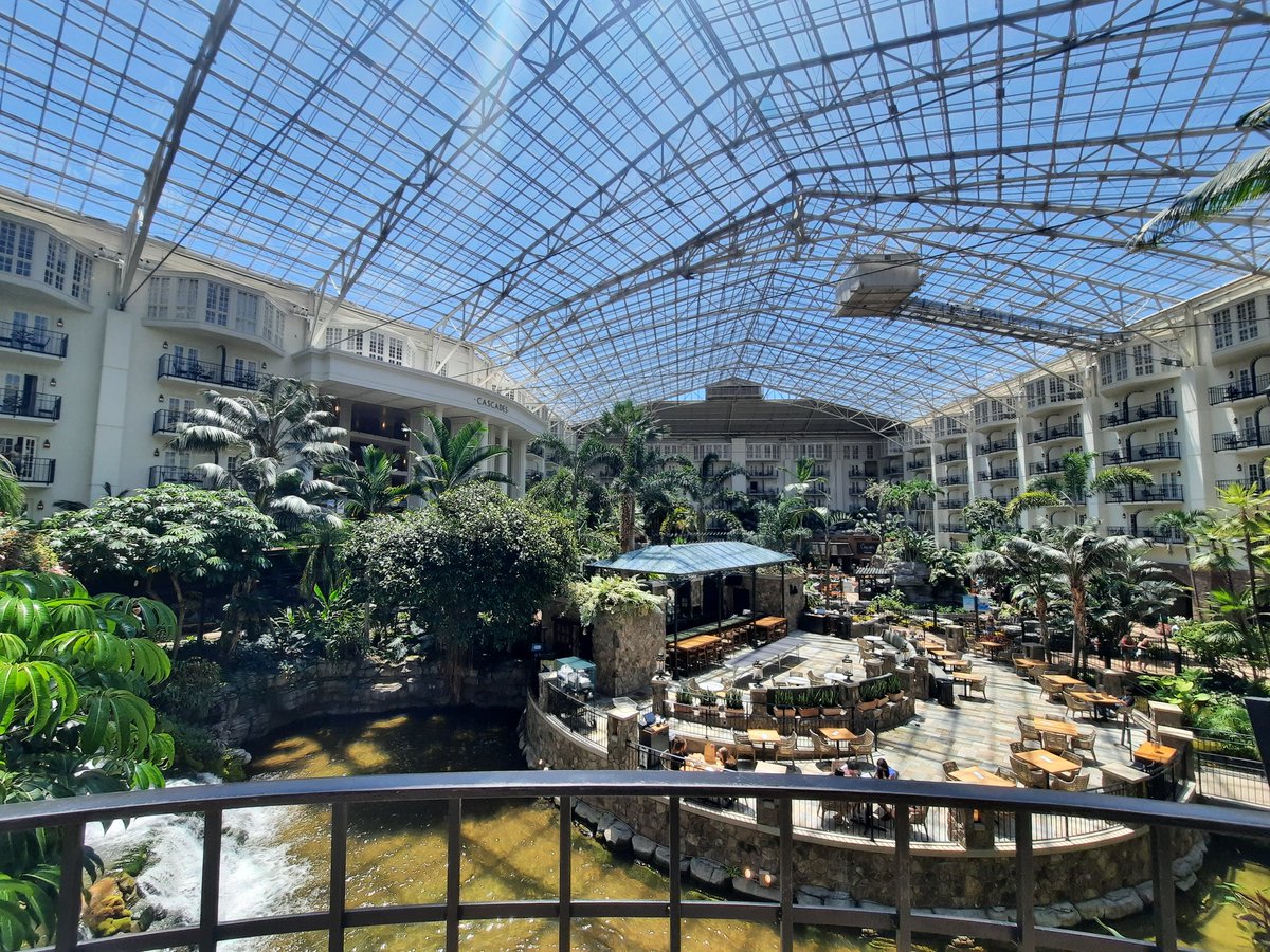 I had a great week at the 2022 HOSA International Leadership Conference in Nashville, TN! I am so excited to see what the future has in store for #ThomasvilleHOSA. #HealthScience #CTEforNC <a href="/hosafhp/">HOSA</a> #hosailc2022 <a href="/nc_hosa/">North Carolina HOSA</a> <a href="/thomasvillehigh/">THS Bulldogs</a> <a href="/TCSCTE/">TCS Career & Tech Ed.</a>