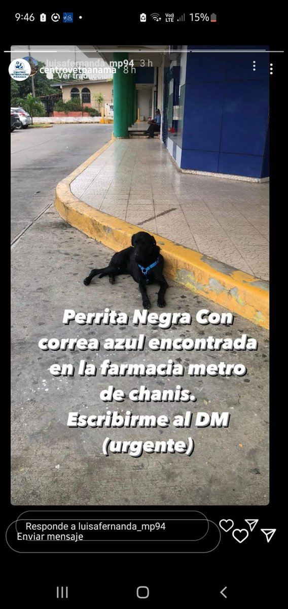 Reparto Nuevo Panamá tweet media