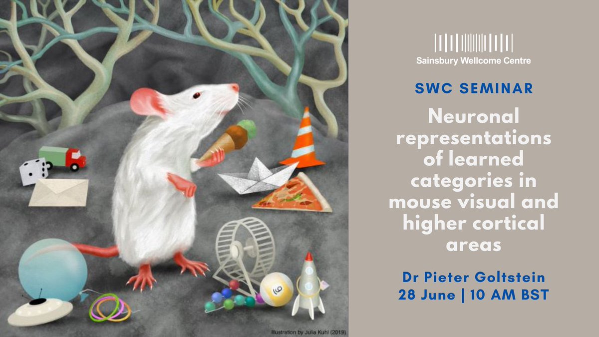 SWC (@swc_neuro) on Twitter photo Join us tomorrow for two SWC Seminars! At 10am in-person and online, Dr Pieter Goltstein (<a href="/xpieter/">Pieter Goltstein</a>, <a href="/MPIforBI/">MPI for Biological Intelligence</a>) will speak about how category-defining associations are represented in the brain: sainsburywellcome.org/web/events/swc… 1/2 Join us tomorrow for two SWC Seminars! At 10am in-person and online, Dr Pieter Goltstein (<a href="/xpieter/">Pieter Goltstein</a>, <a href="/MPIforBI/">MPI for Biological Intelligence</a>) will speak about how category-defining associations are represented in the brain: sainsburywellcome.org/web/events/swc… 1/2
