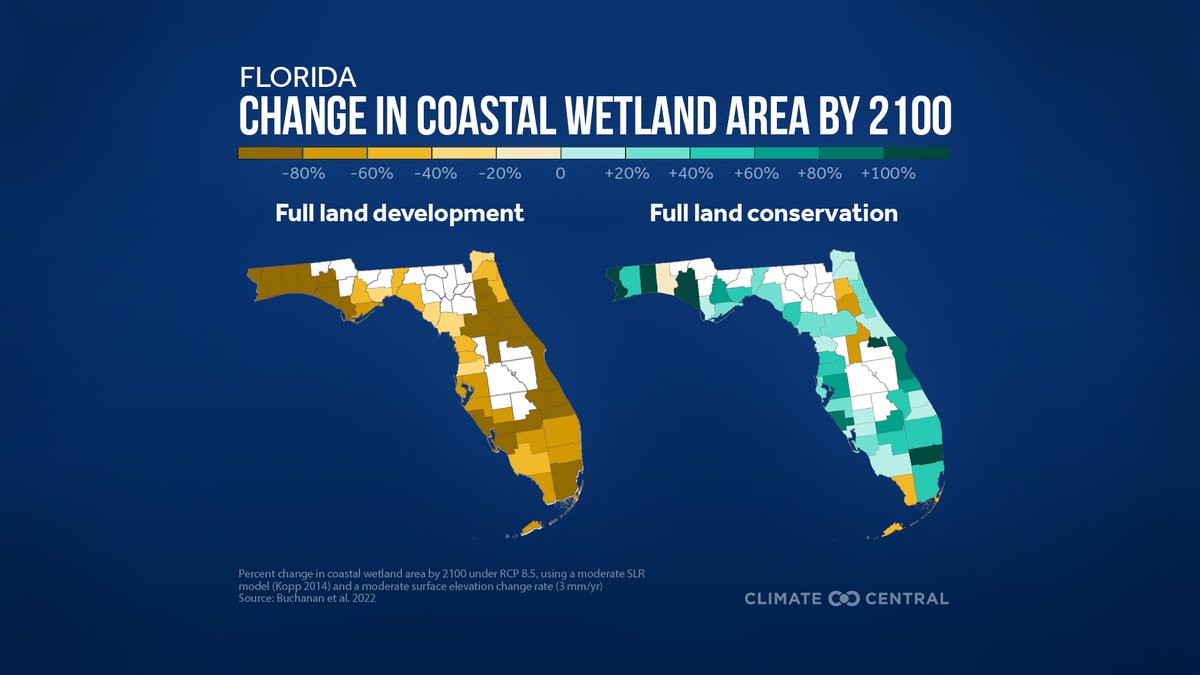 Despite occupying a small land area, coastal wetlands provide an estimated $746 billion of ecosystem services in the U.S. If we don't reduce emissions and conserve land, coastal wetlands they could decline by 97% by 2100. #wetlandconservation #climate #mitigation