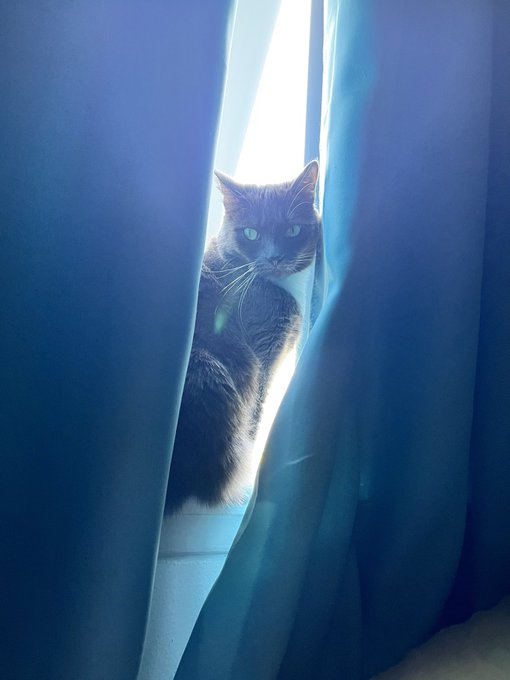 Luna be like wake up mommy. https://t.co/y3Lx8oNr79<a href="/tag/pisces"class="tags"><span>#pisces</span></a>
