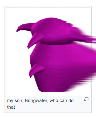 WikiOoc tweet picture
