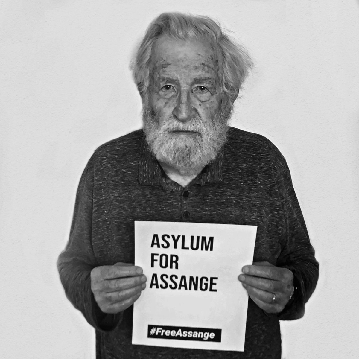 DefenseAssange's tweet photo. AD Co-Chairs Noam Chomsky, Daniel Ellsberg, and Alice Walker React to the Assange Extradition Sign Off
https://t.co/0ipjuQ5rr5 https://t.co/V6FIqFGvt1