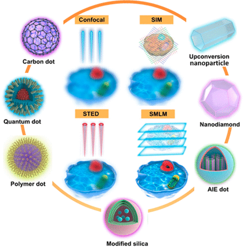 group_laser's tweet photo. How do you improve optical #superresolution methods?
Through use of better probes! Our new review is out in @ACSChemRev:
Fluorescent Nanoparticles for Super-Resolution Imaging https://t.co/zqIrqE2GYr https://t.co/Da2tWGYza0