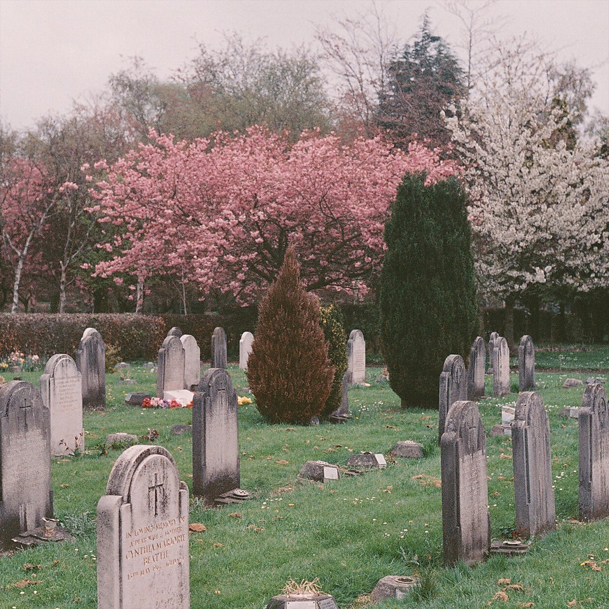 Stain The Canvas tweet media