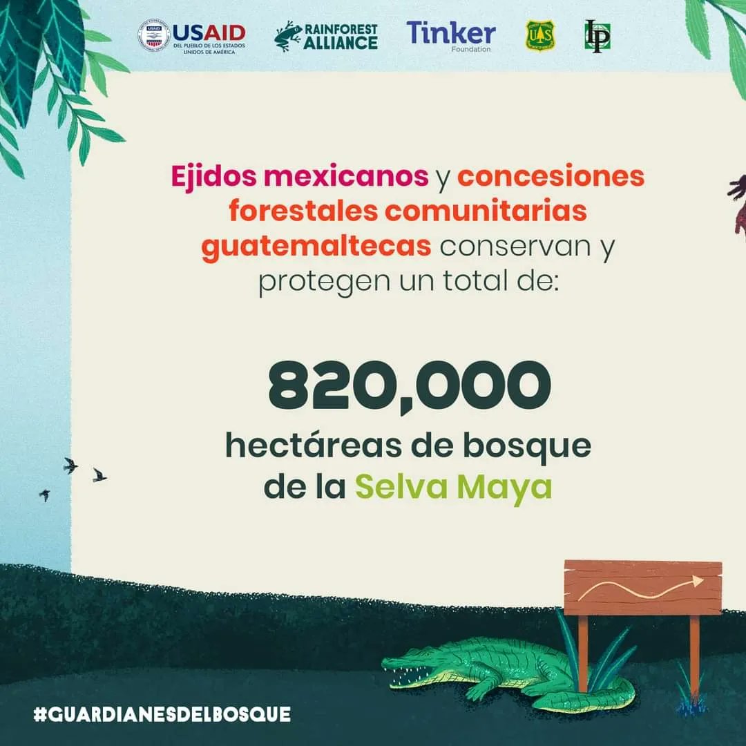 CNCG USAID tweet media