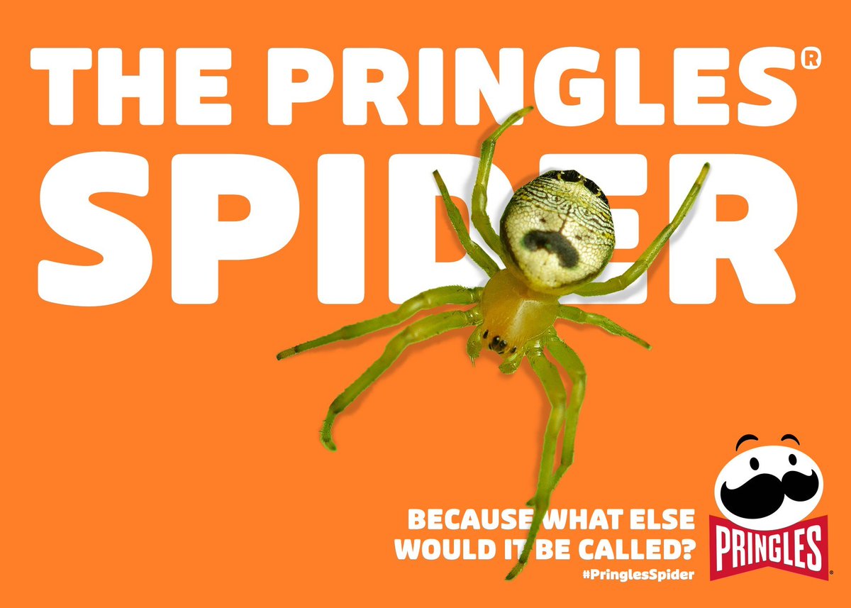 foodbeast's tweet photo. Is #PringlesSpider pretty spot-on? REPLY with what u think this guy should be called 👇🕷️ https://t.co/ae33yazzkl