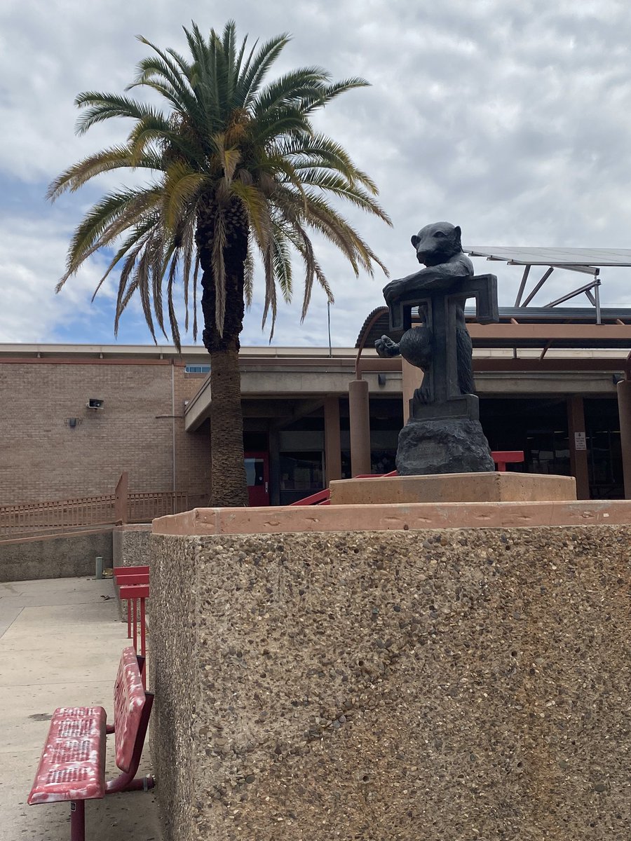 Patrick Connolly tweet media