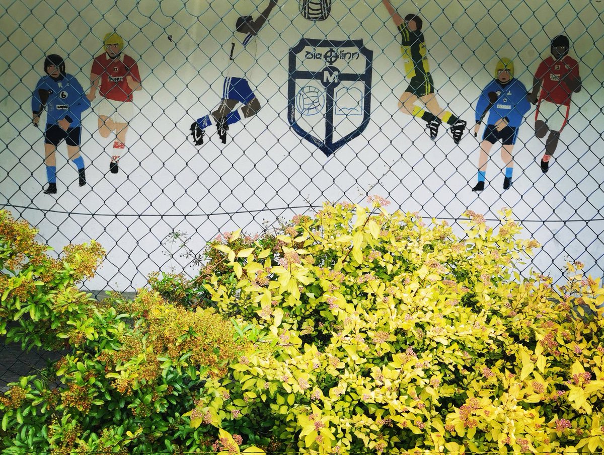 stmalachysbns's tweet image. There is such beauty, creativity and care behind these walls. Big shout out to all the staff how have made my first few days so enjoyable. This is a very special place.... Mr. H #malachyslovelearning