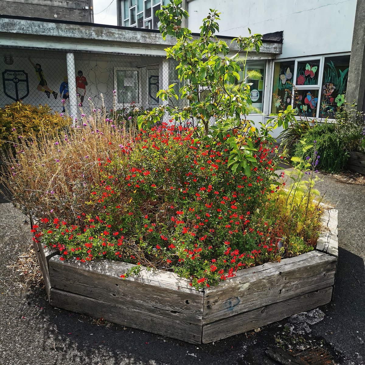 stmalachysbns's tweet image. There is such beauty, creativity and care behind these walls. Big shout out to all the staff how have made my first few days so enjoyable. This is a very special place.... Mr. H #malachyslovelearning