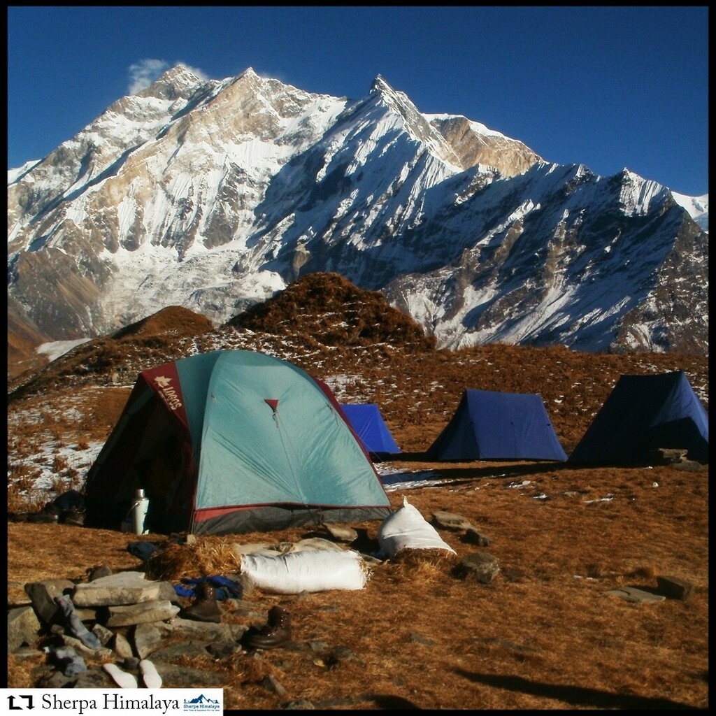 SherpaLtd's tweet photo. There was a time in Nepal where most of the trekking were done by camping style. Today with the development of teahouses and luxury hotel the camping style trekking routes are very few. 
If you haven't experience the camping style trekking, join with Sherpa Himalaya and get … https://t.co/T8WnyOv939