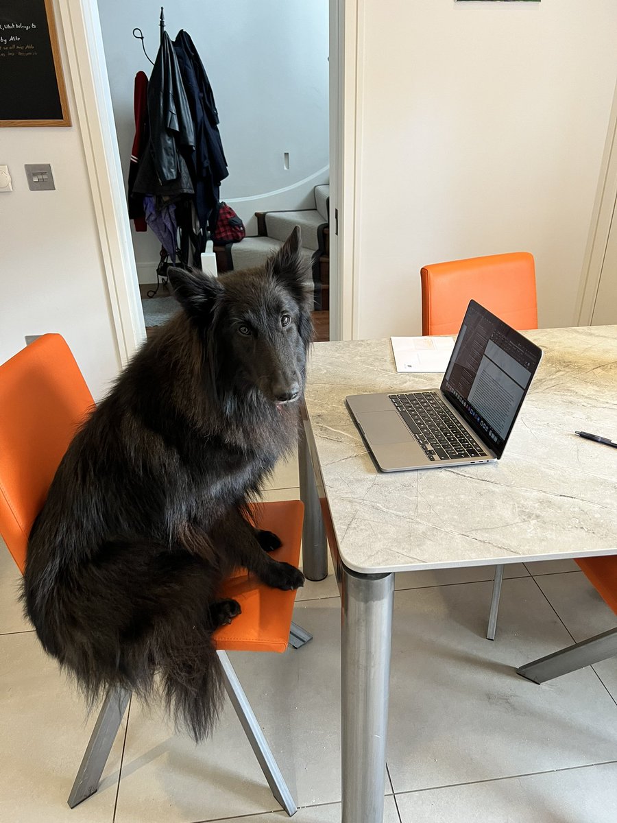 GabriellaFink's tweet photo. @ProfMAGeorge My new proof reader https://t.co/tri9ZqLaUE