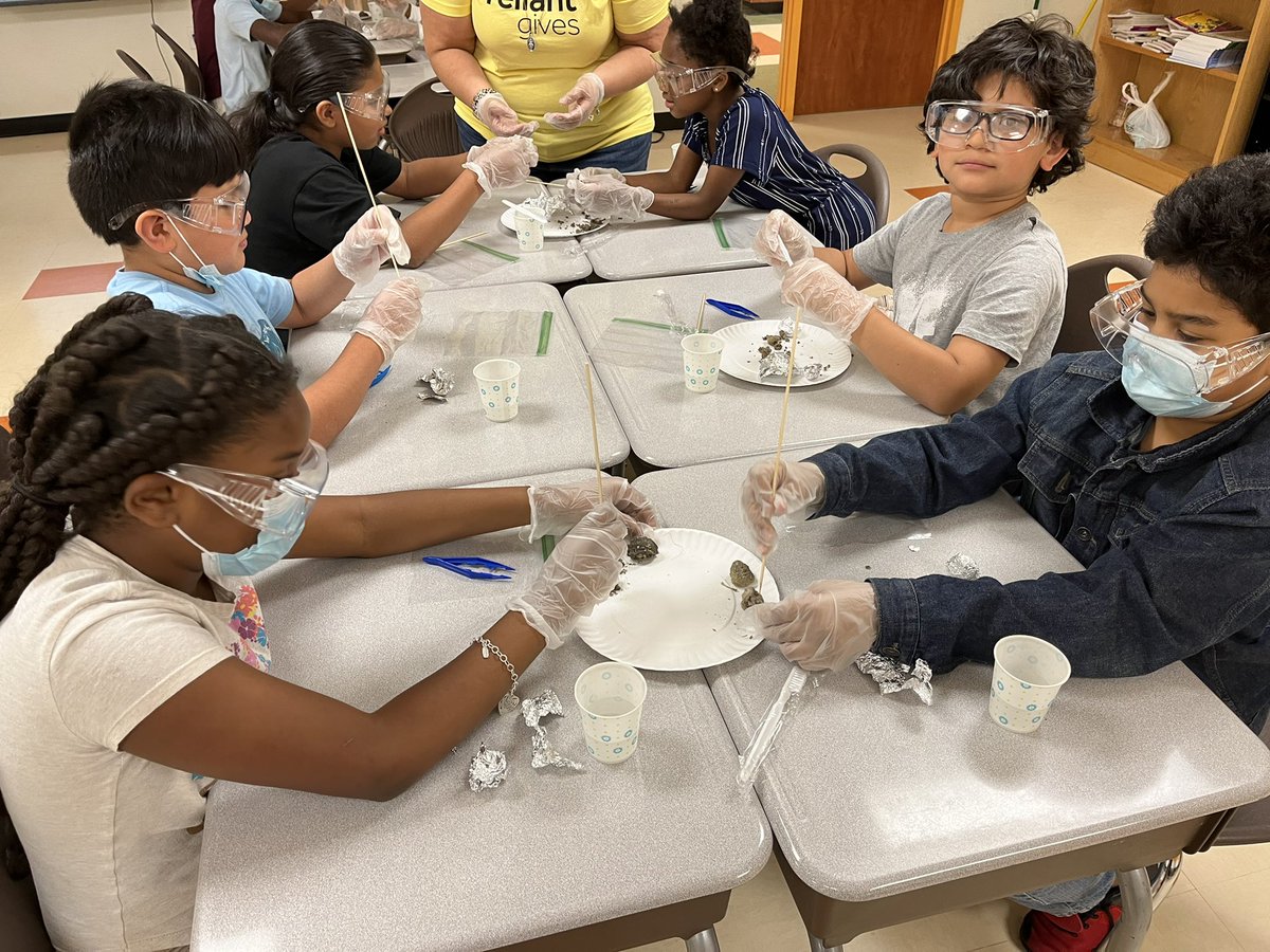 Growing_In_3rd's tweet photo. Today my group of 3rd graders learned about food chains. At the top of their food chain during the lesson was an owl. They learned that an owl will regurgitate undigested parts of its food. So today they are dissecting owl pellets! @AthertonES @cmhouston https://t.co/gYCBRuTcTy