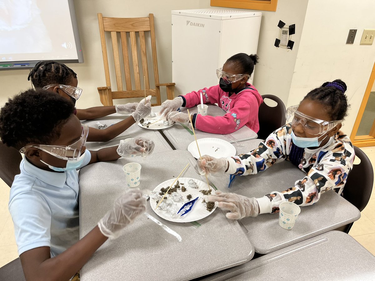Growing_In_3rd's tweet photo. Today my group of 3rd graders learned about food chains. At the top of their food chain during the lesson was an owl. They learned that an owl will regurgitate undigested parts of its food. So today they are dissecting owl pellets! @AthertonES @cmhouston https://t.co/gYCBRuTcTy