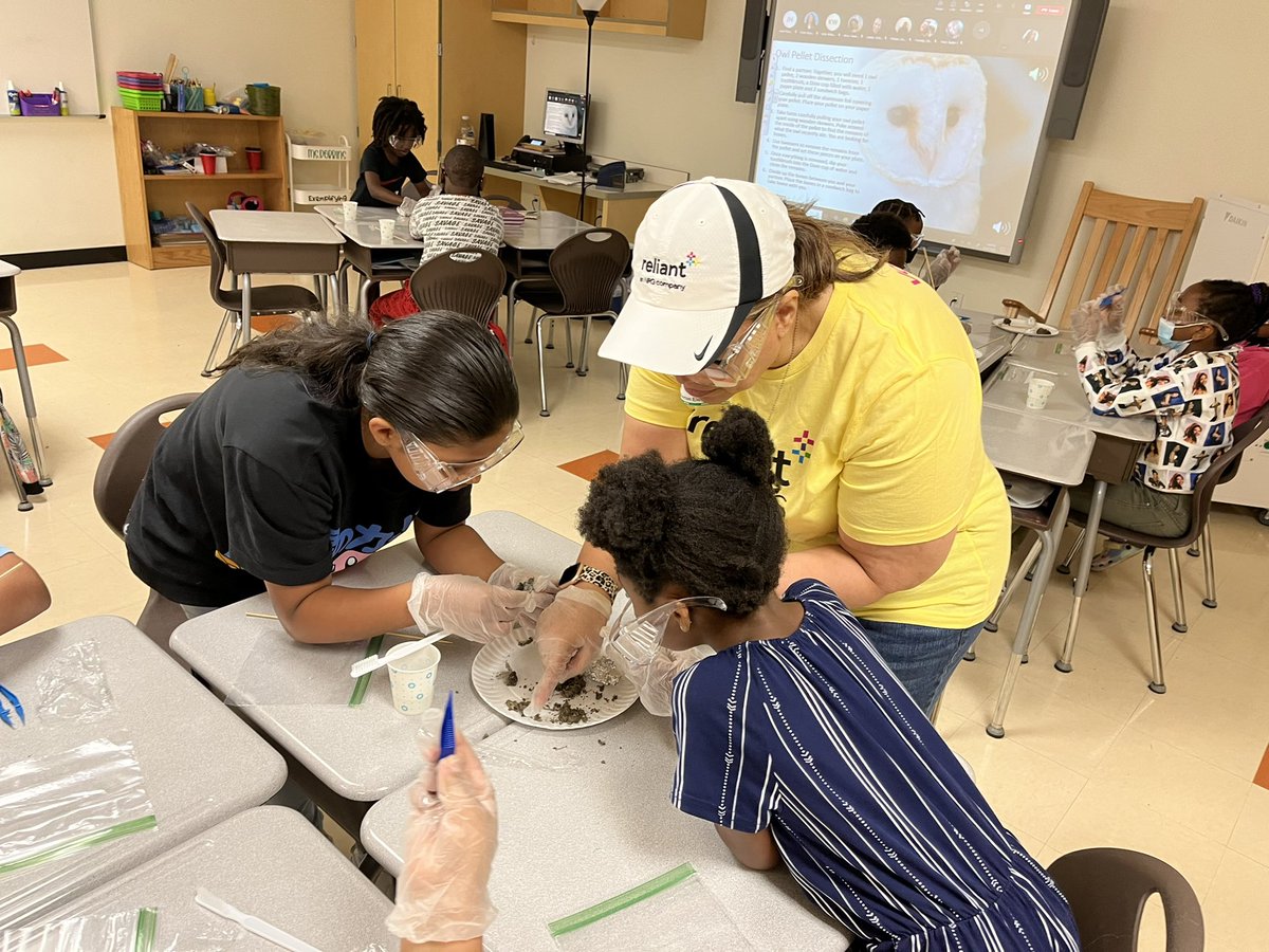 Growing_In_3rd's tweet photo. Today my group of 3rd graders learned about food chains. At the top of their food chain during the lesson was an owl. They learned that an owl will regurgitate undigested parts of its food. So today they are dissecting owl pellets! @AthertonES @cmhouston https://t.co/gYCBRuTcTy