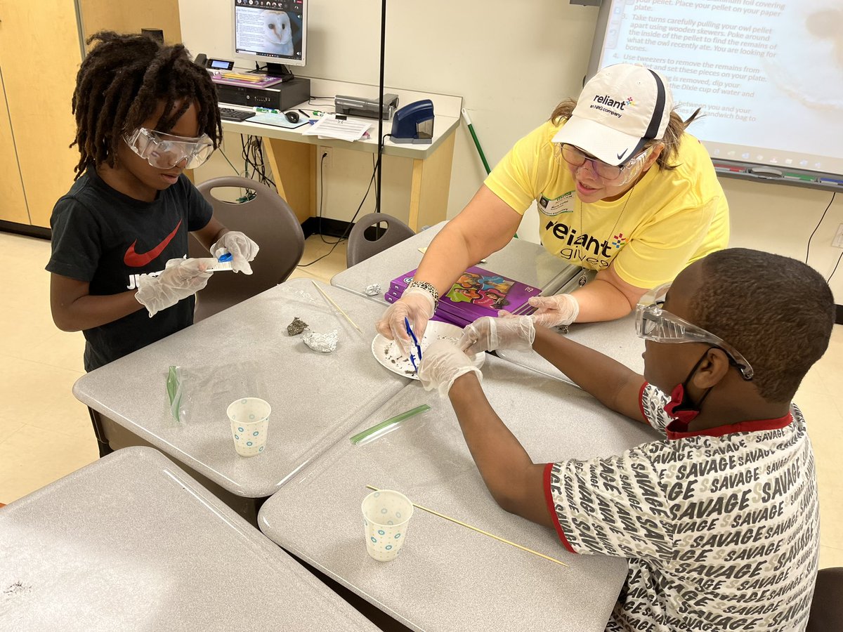 Growing_In_3rd's tweet photo. Today my group of 3rd graders learned about food chains. At the top of their food chain during the lesson was an owl. They learned that an owl will regurgitate undigested parts of its food. So today they are dissecting owl pellets! @AthertonES @cmhouston https://t.co/gYCBRuTcTy