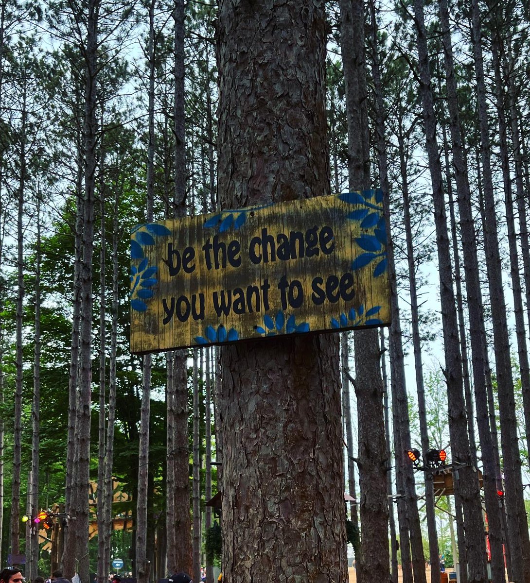 illemiumx's tweet photo. left a piece of my heart in the Forest🧚🏽🌲 https://t.co/0szKciFfh1