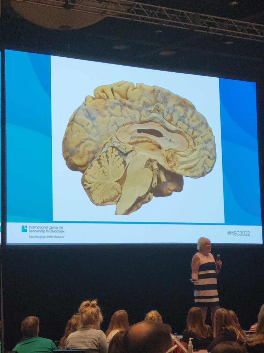 Maria_E_Becerra's tweet photo. Activating a students' brain, so they can learn the right way. Dissection of a sheep brain to work as a group and learn about it effectively. Excellent presentation #MSC2022! #QuadD @SamanthaND58 @FabensISD #BucketList #CorpusCallosum Very Interesting!!! https://t.co/sqpB6QCxWy