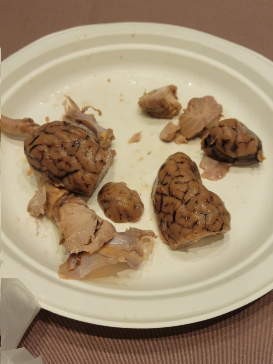Maria_E_Becerra's tweet photo. Activating a students' brain, so they can learn the right way. Dissection of a sheep brain to work as a group and learn about it effectively. Excellent presentation #MSC2022! #QuadD @SamanthaND58 @FabensISD #BucketList #CorpusCallosum Very Interesting!!! https://t.co/sqpB6QCxWy