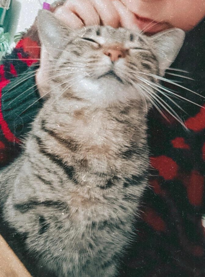 Meli Pagana tweet media