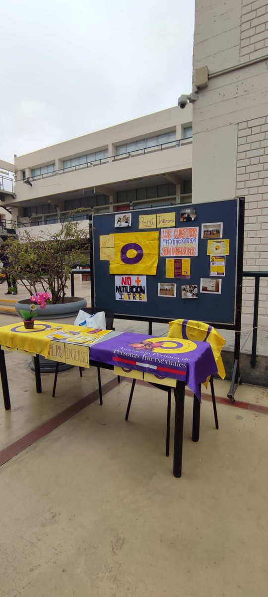 Peru_Intersex's tweet photo. 🟣 Les compartimos un poco de lo que fue la feria del #Orgullo en la Pontificia Universidad Católica del Perú.
🟡 Gracias al comisionado y a la facultad de letras por la gestión del espacio.
🟣Visibilizando nuestra #diversidad
#intersexualidad
#Intersexy
#orgullointersex https://t.co/sDrSR1D3w8