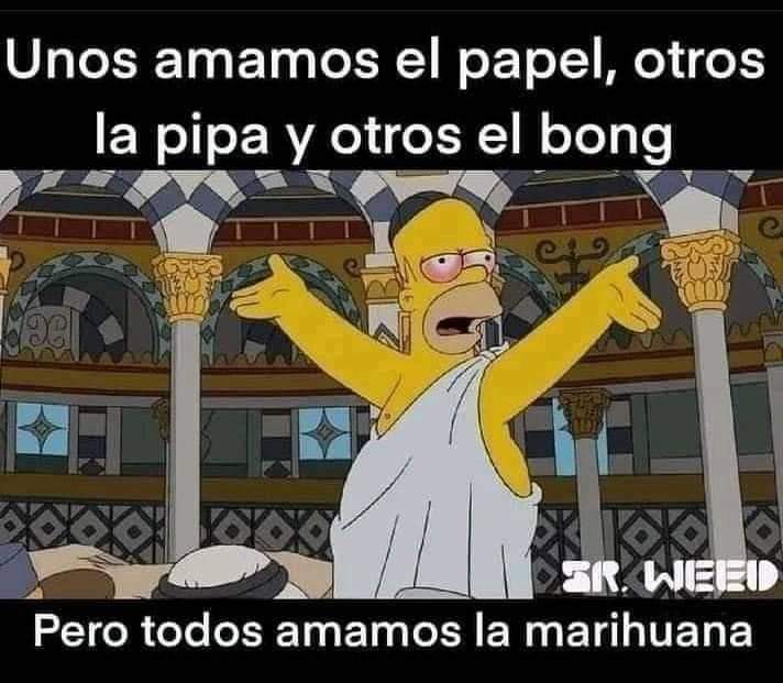 BreakinGatos's tweet photo. Amamos https://t.co/O0IP7MhXjP