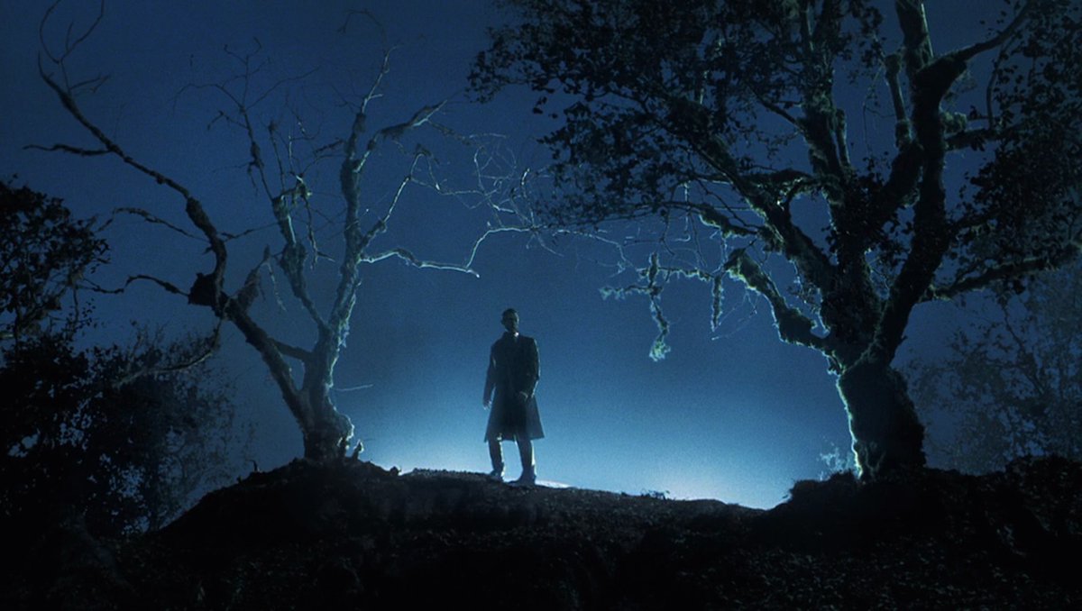 aresluoga's tweet image. The cinematography of two-time #AcademyAward winner #JanuszKaminski 
#SchindlersList (1993) 
#SavingPrivateRyan (1998) 
#AI Artificial Intelligence (2001) 
#WarHorse (2011)