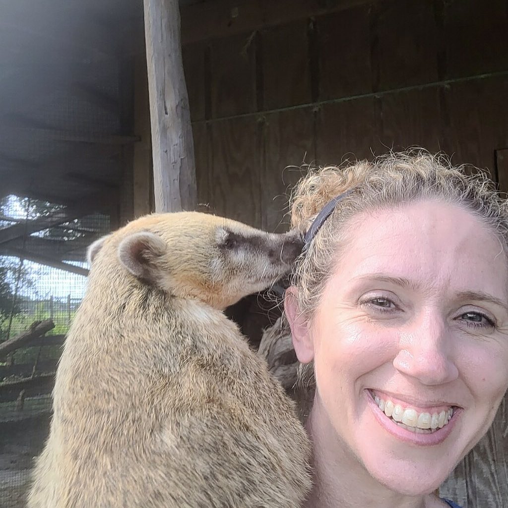 SafariWild's tweet photo. Often, our furry-friends will ask for a cuddle and our guests will be there to do just that. 
📸 : @rebeccalynn https://t.co/WvvKtf70QT