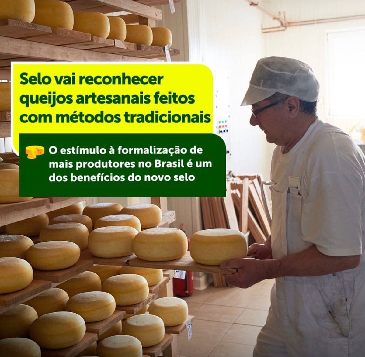 Carolmph's tweet photo. PEQUENO PRODUTOR / COMERCIANTE: Queijos artesanais elaborados por métodos tradicionais, com vinculação e valorização territorial, regional ou cultural, serão identificados por selo único com a indicação Queijo Artesanal. O novo selo foi criado pelo Decreto nº 11.099/22, https://t.co/CgK81IS5ON