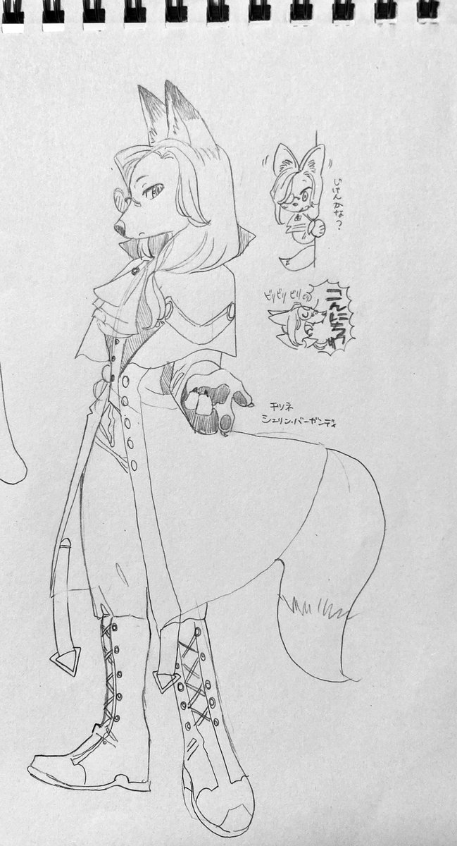 🌈擬獣化🐾
shrnさん🦊、gnduさん🐺、msrくん🐶、ymgmさん🦅 