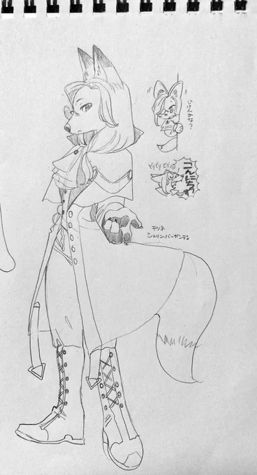 🌈擬獣化🐾
shrnさん🦊、gnduさん🐺、msrくん🐶、ymgmさん🦅 