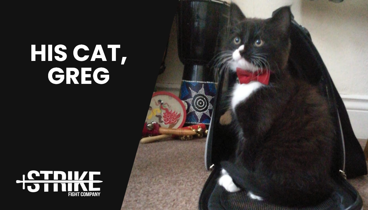 StrikeFightCo's tweet image. Introducing Josh Cavendish.

Josh will be eloquently guiding you through our Rapier &amp;amp; Dagger course.

#onlinecourses #stagecombat #actors #actorslife #actortraining #rapieranddagger #unarmed #broadsword #quarterstaff #stunts #film #stage #television #fights #fightsonfilm #cats