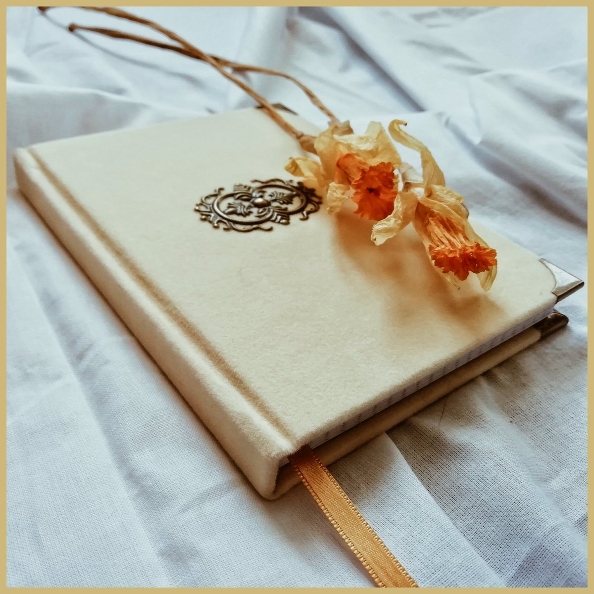 ViktorijaArts's tweet photo. [LT] 📖 Rankų darbo užrašų knygelė kietu veliūriniu viršeliu ir metaliniais papuošimais. A6 🌼 

[ENG] 📖 Handmade notebook with velour hardcover and metal decorations. A6 🌼

#code_DAISY #bookbinding #handmade #art #artist #lithuania  #notebook #lietuva https://t.co/iEN7ELPQpj