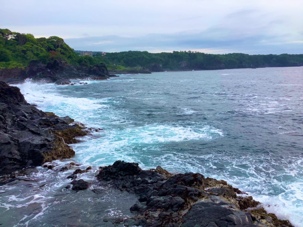 satoyamabanzai's tweet photo. おはようございますo(^-^)o

🌴伊豆高原、3：50の気温２５℃🌞晴れ予想です。

風は微風予想、釣りには良いですが暑くなりそうです💦

さぁ、支度して４時には出掛けよう🚲

Have a  nice day🏝✨

#DS🇺🇸

＃mastermaind🇺🇸 https://t.co/EI6fM945GG