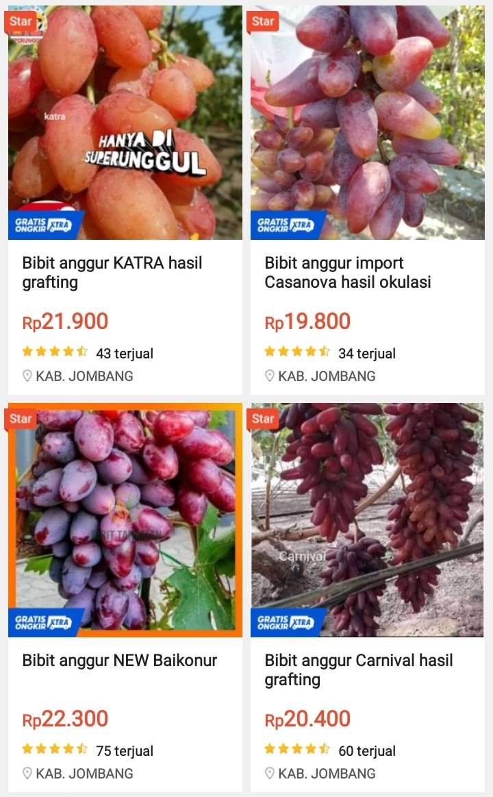 petanirumah's tweet photo. Bibit Anggur 20 Ribu Asli Atau Palsu?

Menjawab beberapa pertanyaan dari teman2 tentang Bibit anggur import 20 ribuan.

Jadi gini th 2017 saya ikut pelatihan anggur di Pekanbaru dan mentor nya dari bogor. Waktu itu pelatihan 1 hari biaya 1,5 juta https://t.co/K7r9dnHUsd