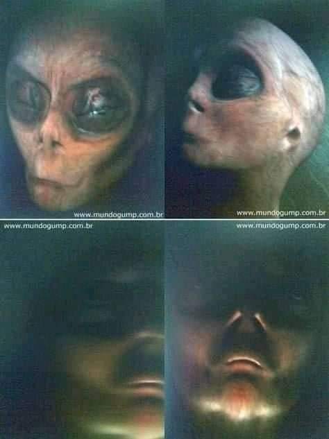 Photos of a presumed alien . If it's real, we don't know.