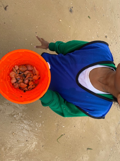 A wonderful day at Frinton last Friday! It was great to enjoy this Hargrave Park tradition once more.