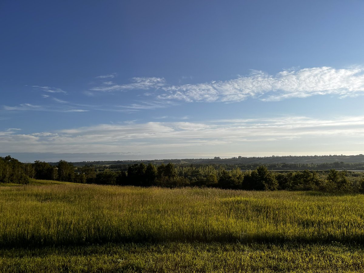 jeremycockrill's tweet image. From any view, the river valley in the Battlefords is something special. Walking around this weekend reminded me how grateful I am to live in this part of the world.