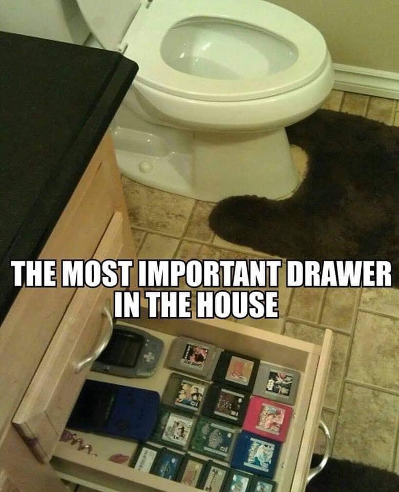 PonyUpFun's tweet photo. How to start your day right 💩🎮
.
.
.
.
#gamerlife #gaminglife #game #toiletgame #gameconsole #games #toiletgaming #ponyupfun https://t.co/zVPjk37zGF