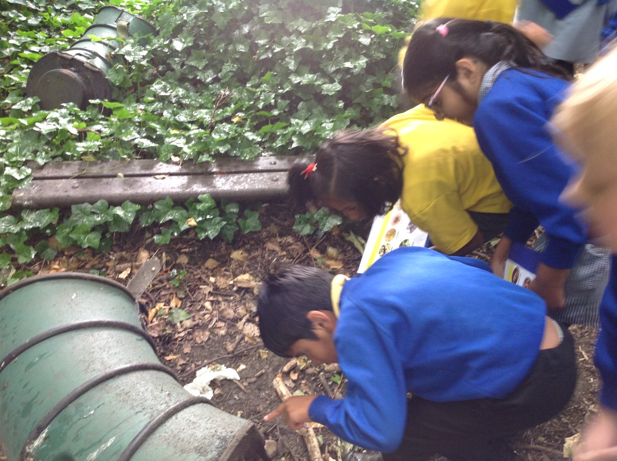 WCPSY1's tweet photo. Hunting for minibeasts as research for our upcoming junk modelling project. 🐜🪲🦗🐞🪳🕷️ https://t.co/yoeKsBprpA