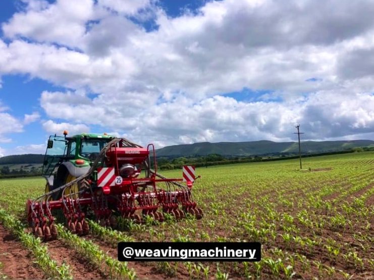 HfdshireKate's tweet photo. It’s that time of year again…! The @WUFoundation fleet of drills are undersowing maize around the catchment #wyenot #wintercover #companioncrop #collaboration @FieldOptions https://t.co/UqYVLVVFzA